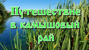 Путешествие в камышовый рай.mp4