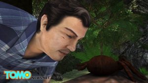 Самый большой в мире паук вырос размером с щенка