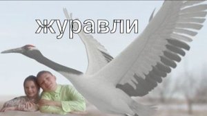Журавли