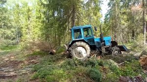 мтз 82 в лесу .