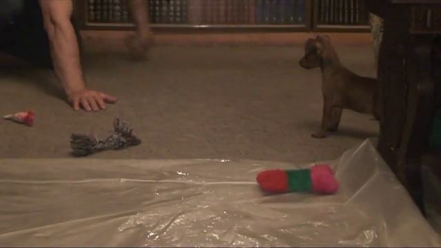 Лола смотреть онлайн