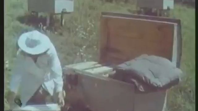 Пчеловодство. методы содержания и разведения пчёл смотреть онлайн