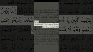 Сура Священного Корана Ас Саджда, As Sajda, سورة السجدة, желательно читать перед сном!