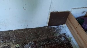 Делаю полки в погреб