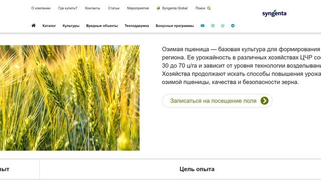 Полевые испытания. Техническая Поддержка «Сингенты».