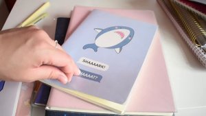 МОЯ КОЛЛЕКЦИЯ БЛОКНОТОВ