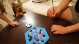 НЕ УРОНИ ПИНГВИНА. ИГРАЕМ С ПАПОЙ В ЛУЧШУЮ ИГРУ И ЗАНИМАЕМСЯ ГИМНАСТИКОЙ.