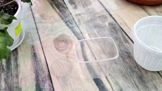 #300.Последний мой ролик! Подведение итогов уходящего года! смотреть онлайн