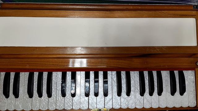 #102  Ahmad Zahirs school Learning basic harmonium  Answering questions