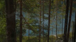 Лохикейто – тот самый карельский суп