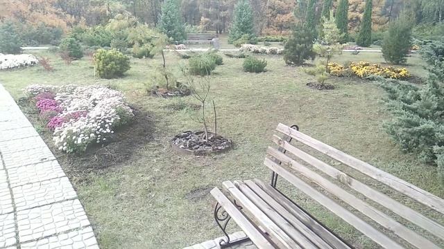 Погуляли в ботаническом саду смотреть онлайн