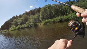 Рыбалка на Быстрице