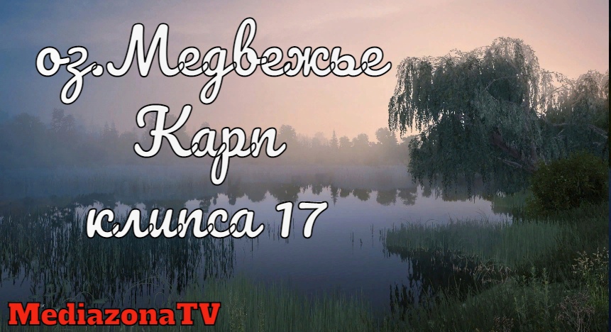 Русская Рыбалка 4 Где Клюетоз.Медвежье Карп 03 03 23