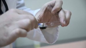 Отодектоз у кошек