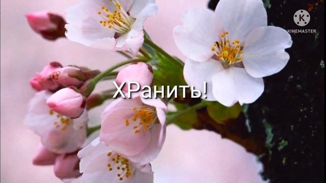 ХРанить и Ранить отличаются всего лишь буквою одной!!! смотреть онлайн