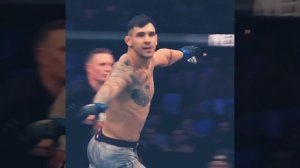 Лучше накауты в UFC