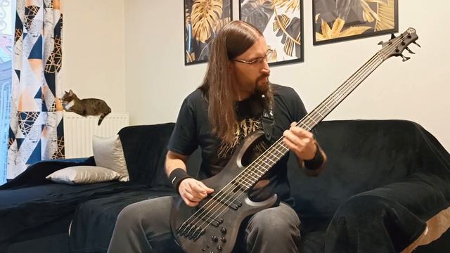 Strapping Young Lad - AAA (drum & bass cover) смотреть онлайн