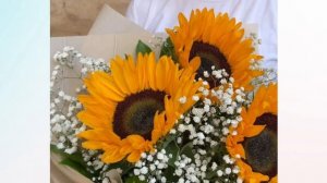 Букет из подсолнуха и гипсофилы   М