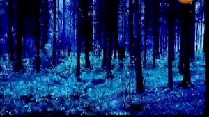 Морские дьяволы  День космических историй 6  Выпуск 7