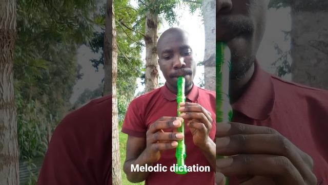 greensleeves on the descant recorder