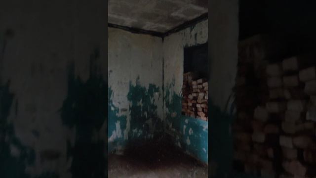 Войсковицы