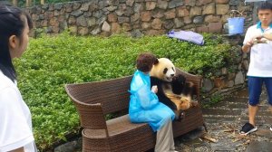 2016 ChengDu Panda Holding
