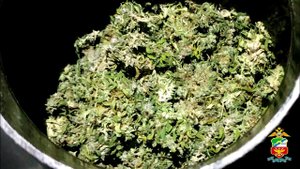 Сбыт марихуаны