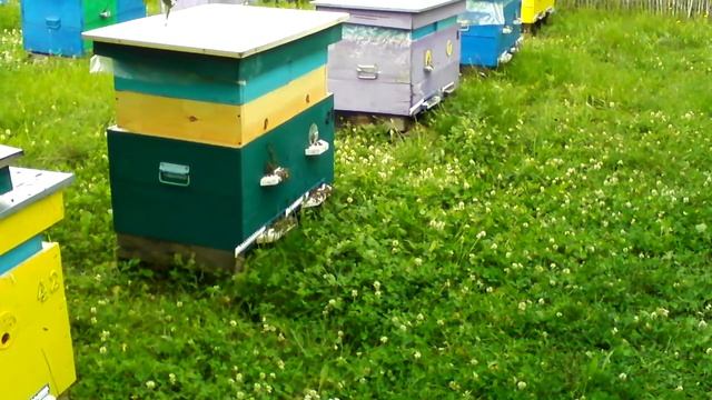 Наша система- лежак (одна или две семьи) с магазинами. смотреть онлайн