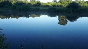 Ловля карпа летом. Уловистая снасть на карпа. Дедовский метод ловли крупной рыбы. Спутник Макушатни