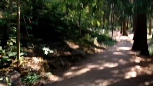 Репино Пенаты Дача Ильи Репина