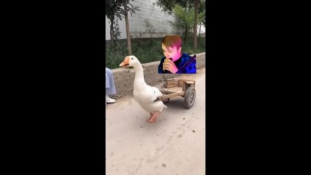 каша доказал что не терпила