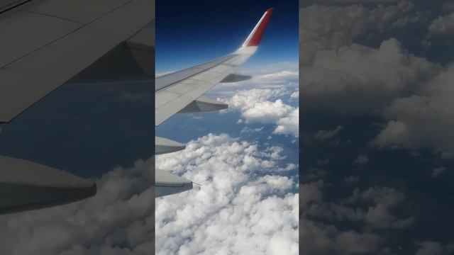 Эрик Саргсян #аэрофлот #ростовнадону #ереван #звартноц #a320 #самолет #аэропорт #жизньпрекрасна