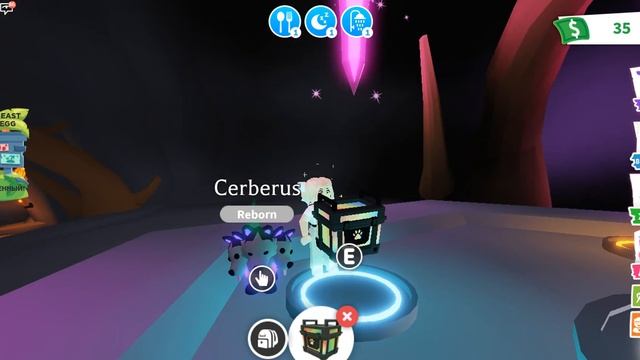 КАК ПОЛУЧИТЬ НЕОН ЦЕРБЕРА И РГБ В ADOPT ME!? смотреть онлайн