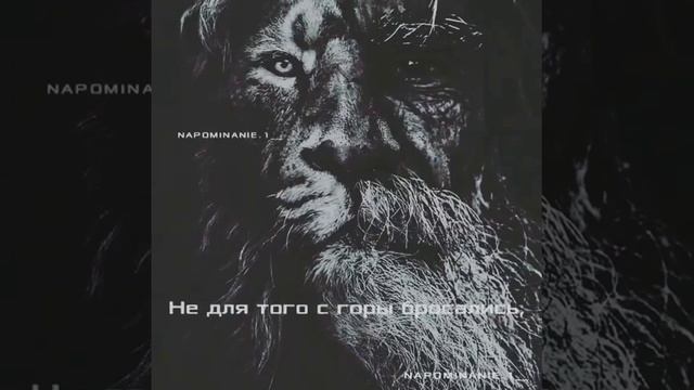 Львы ислам смотреть онлайн