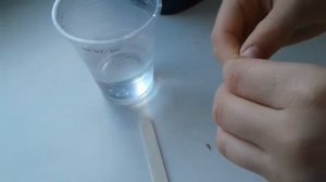 как вырастить яблоко из косточки ?