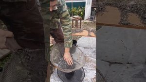 Быстро просеять семечки от шелухи