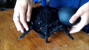 Reto 3-Robótica-TecnoPower-Explicación
