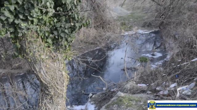 Обращение жителей села Южная Озерейка к Владимиру Вольфовичу Жириновскому. смотреть онлайн