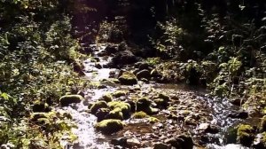 Посёлок Точильный Ериклинский ключ памятник природы