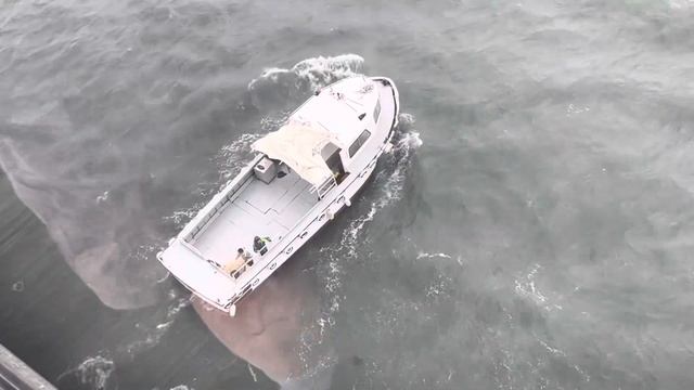 ? УРАГАН корабль ТРЕЩИТ ? а я на МАССАЖЕ теперь только МУЖЧИНЫ MSC Splendida cruise 02.05.2023 смотреть онлайн