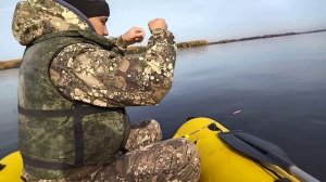 Ловля берша в отвес на тюльку. Васильсурск. Октябрь 2021.