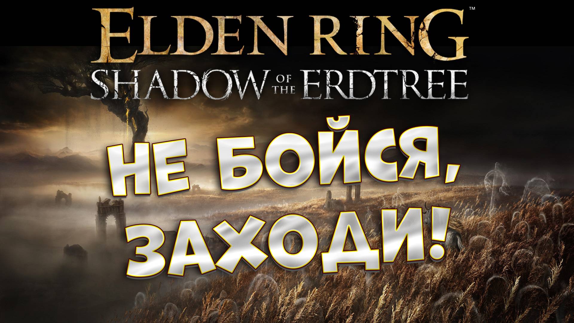 ТЫ С НИМ НЕ СПРАВИШЬСЯ! / НЕ обзор на Elden Ring Shadow of the Erdtree