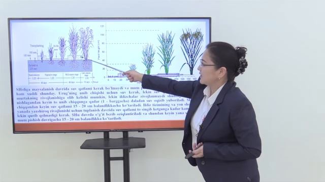 Mavzu: Sholining suvga va yorug’likka bo’lgan talabi смотреть онлайн