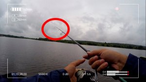 Сломал спиннинг за 5 минут. Zemex Buriza 802ML. Ловля обрубком