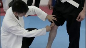 |HD| Jeet Kune Do & Pressure Point ( Kyusho Jitsu- Dim Mak)| Ri Chu Martial Arts Institute