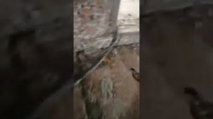 Р100 в работе видео от покупателя честный обзор!