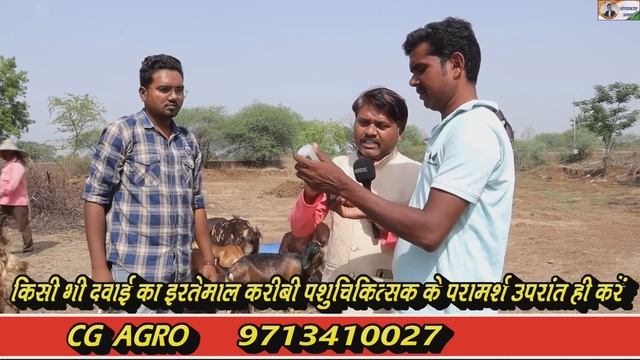 #बकरियों को पी.पी. आर वैक्सीन कैसे और कब लगाएं? PPR vaccination in goats | bakri paln in hindi смотреть онлайн