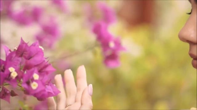 Лучшая музыка ?