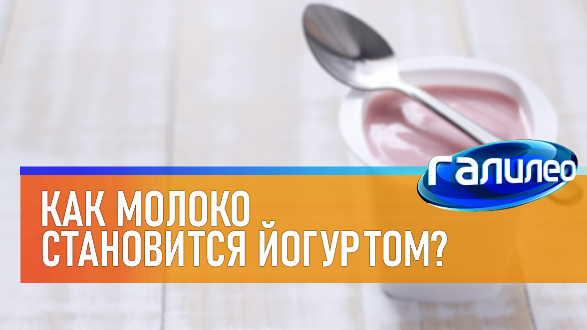 Галилео | 0025 ? Как молоко становится йогуртом?
