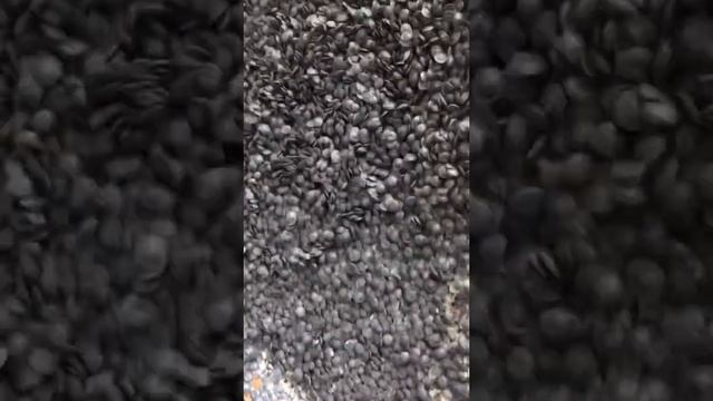 Грануляция ПВД (ПЕ) на водокольцевой резке